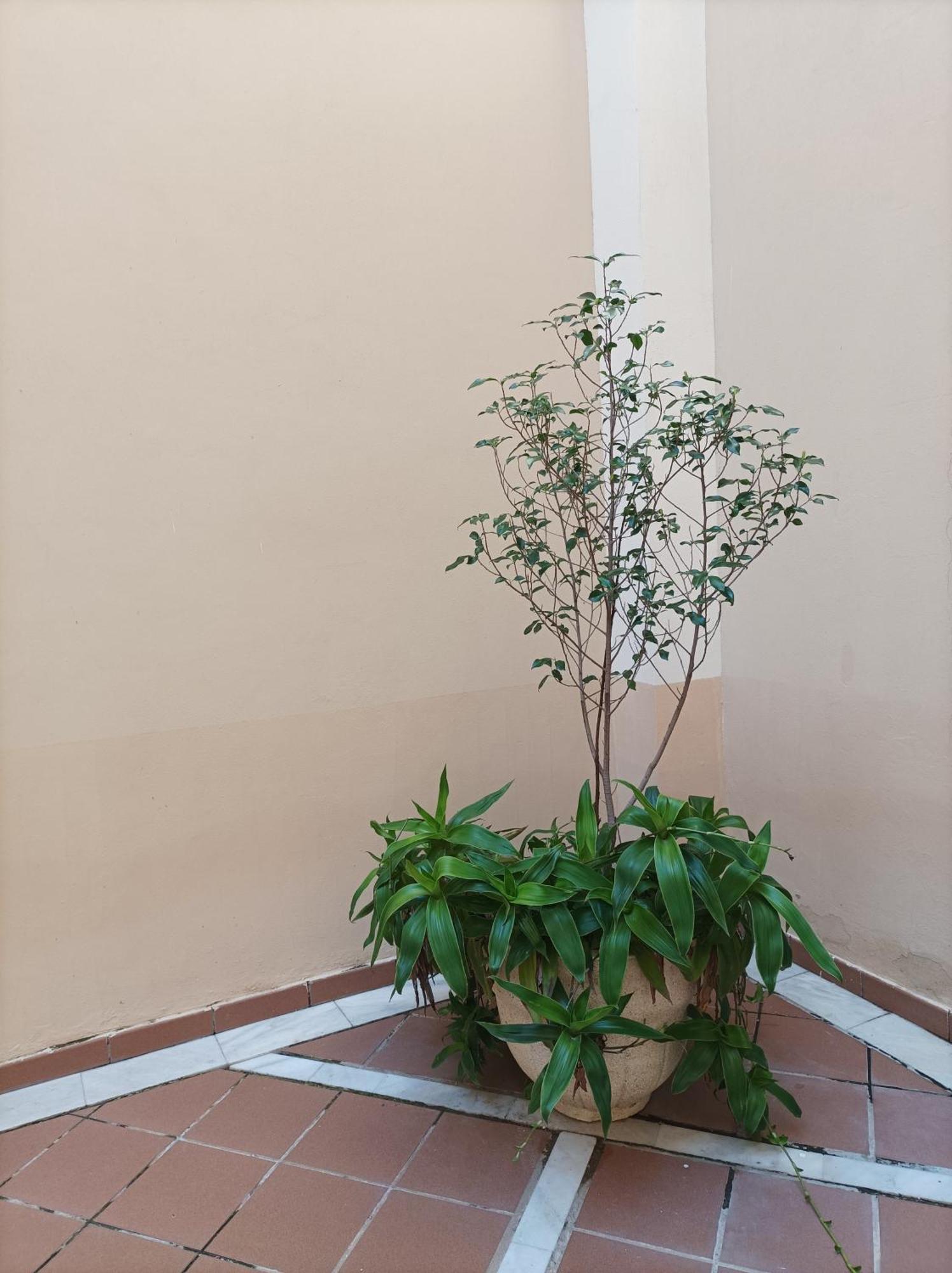 Apartamento De Lux Sevilla Este Εξωτερικό φωτογραφία